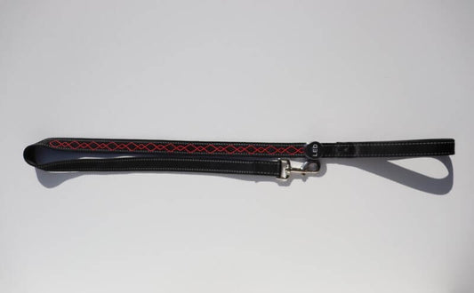 Embroidered LED leash