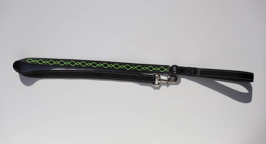 Embroidered LED leash